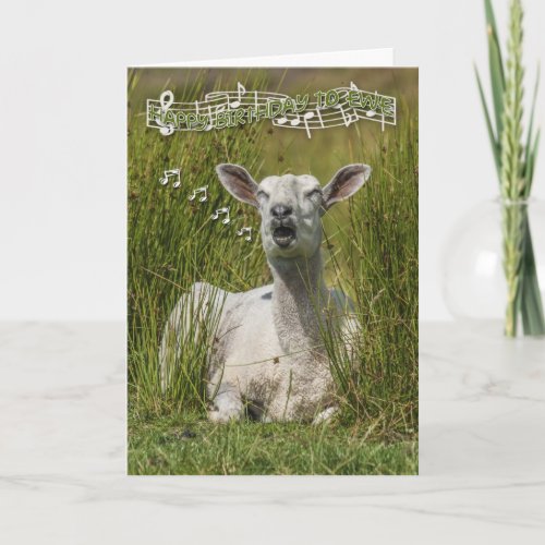 Singing Sheep Birthday Greeting Card Happy Birth Card