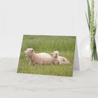 Singing Sheep Card