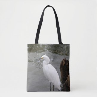 Singing Snowy Egret