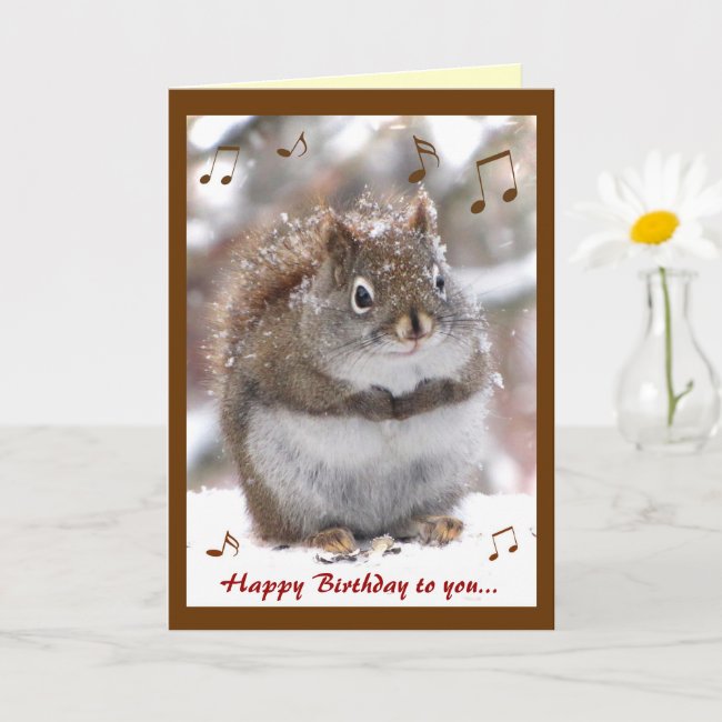 Singing Squirrel Birthday