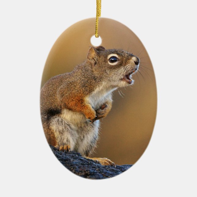 Singing Squirrel Ceramic Ornament (Front)