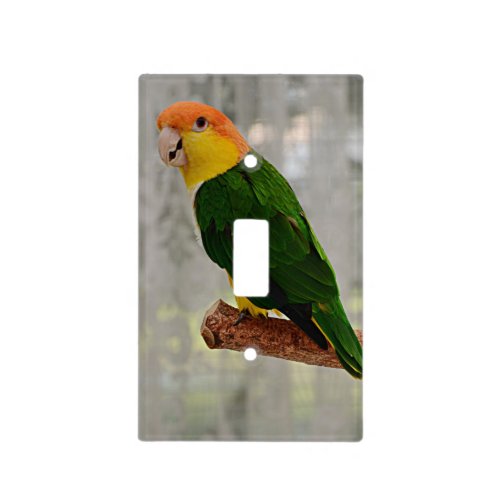 Singing White Bellied Caique Parrot Light Switch Cover