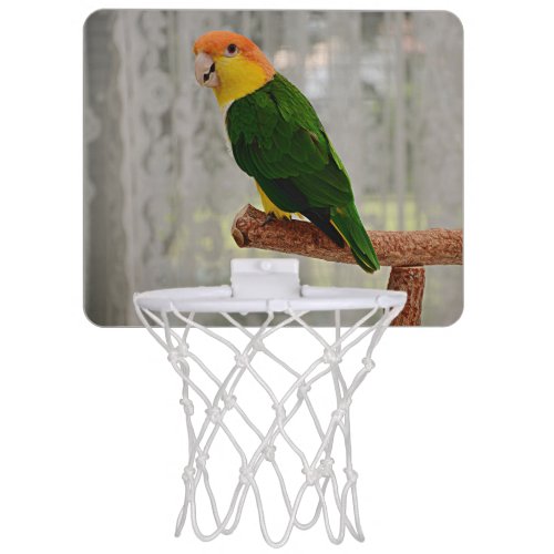 Singing White Bellied Caique Parrot Mini Basketball Hoop