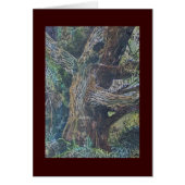 singing willow (Front)