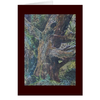 singing willow cards