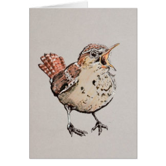 Singing Wren Illustration Cards