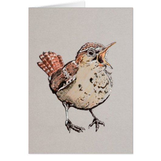 Singing Wren Illustration Cards (Front)