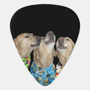 Singing Yellow Labs Custom Guitar Pick