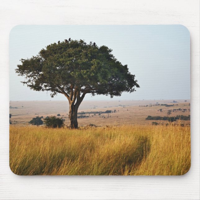 Single acacia tree on grassy plains, Masai Mara, Mouse Pad (Front)