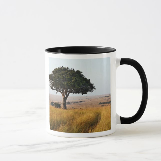 Single acacia tree on grassy plains, Masai Mara, Mug (Right)