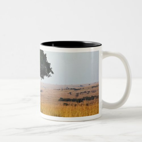 Single acacia tree on grassy plains Masai Mara Two_Tone Coffee Mug