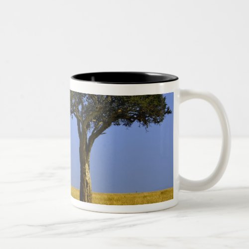 Single Acacia tree on grassy plains Masai Mara Two_Tone Coffee Mug