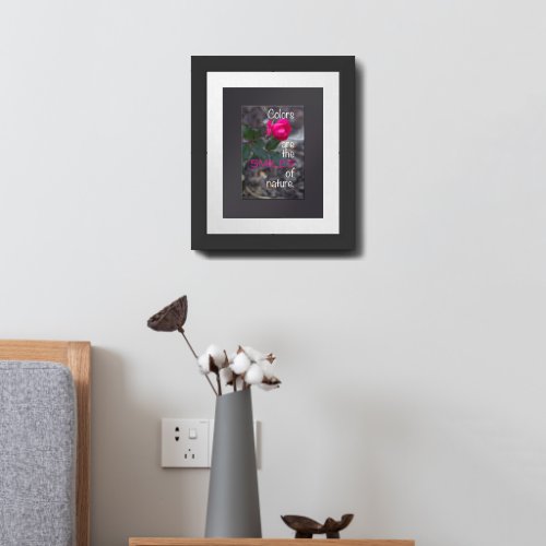 Single Bending Pink Rose Photograph Framed Art