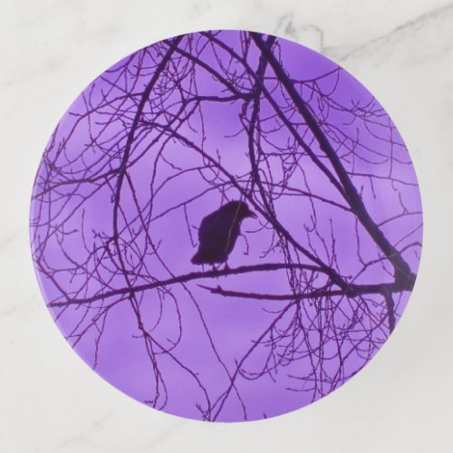 Single Black Crow in Barren Tree Branches Purple Trinket Tray