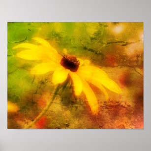 Single Black Eyed Susan Daisy Abstract Grunge Poster