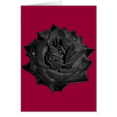 Single Black Rose (Front)
