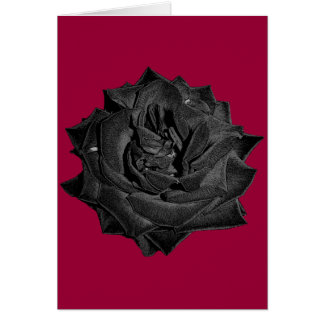 Single Black Rose Cards