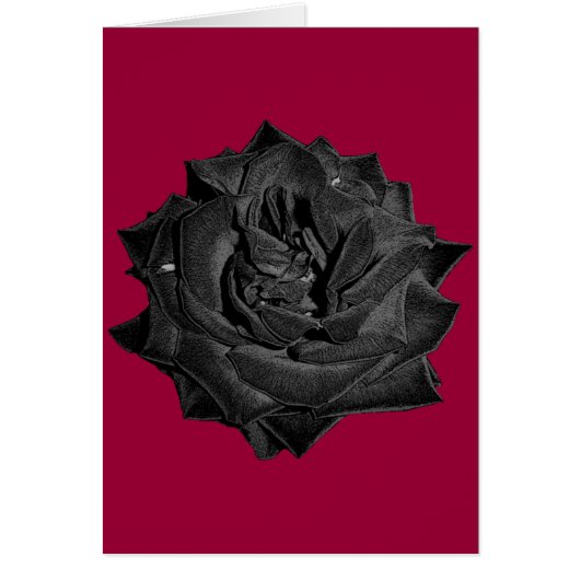 Single Black Rose Cards (Front)