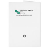 Single Bobcat Cards (Back)