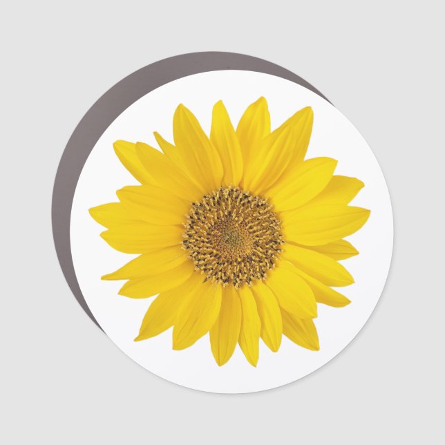 Single Bright Yellow Sunflower Car Magnet (Front)