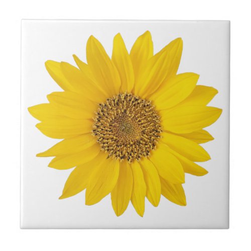 Single Bright Yellow Sunflower Ceramic Tile