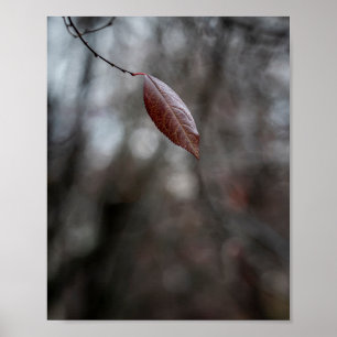 Single Burgundy Autumn Leaf on a Thin Branch Poster