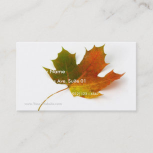 Single Coloured Maple Leaf On White Background Business Card