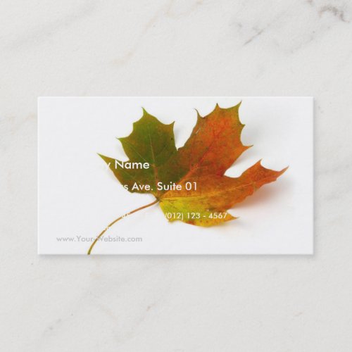 Single Coloured Maple Leaf On White Background Business Card Template