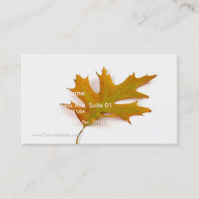 Single Coloured Northern Red Oak Leaf On White Bac Business Card (Front)