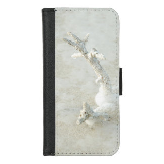 Single coral on the beach iPhone 8/7 wallet case