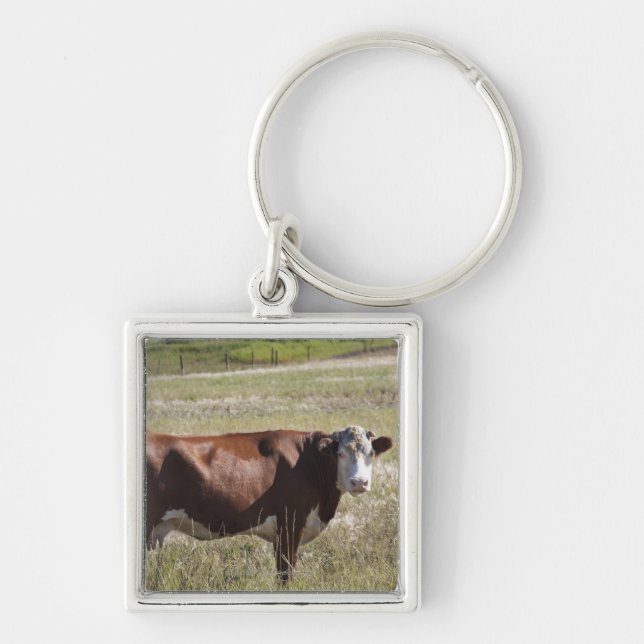 Single Cow In A Field Keychain (Front)