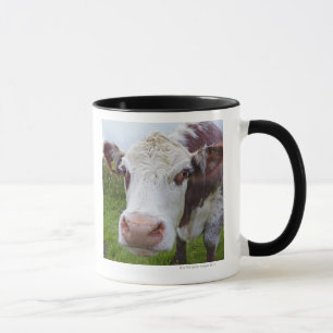 Single cow peerring into camera mug