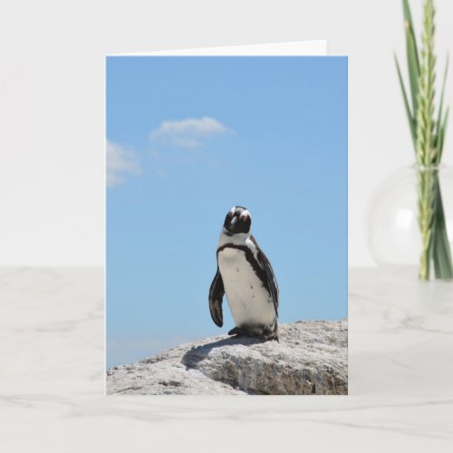 Single Cute Penguin and Blue Sky Card