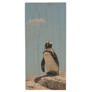 Single Cute Penguin and Blue Sky Wood Flash Drive