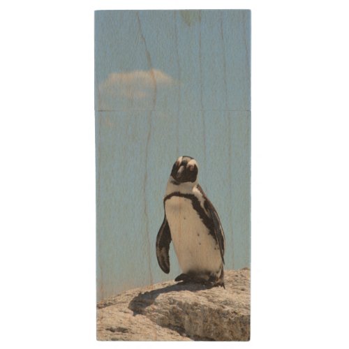 Single Cute Penguin and Blue Sky Wood Flash Drive