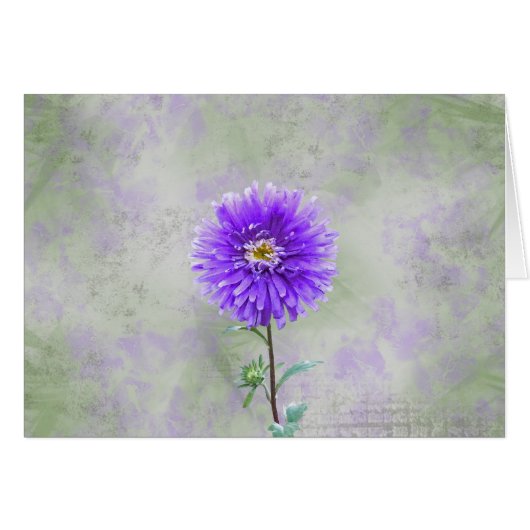 Single Dahlia Cards (Front Horizontal)