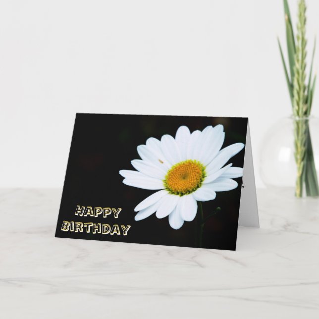 Single Daisy Birthday Card (Front)
