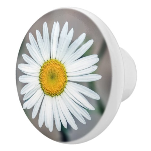 Single Daisy Flower Ceramic Knob