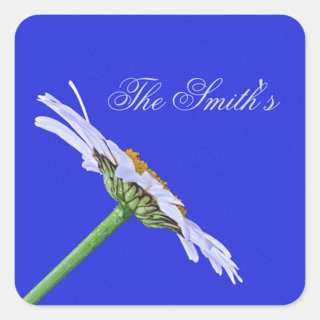Single Daisy Flower on Canvas Custom Square Sticker (Front)