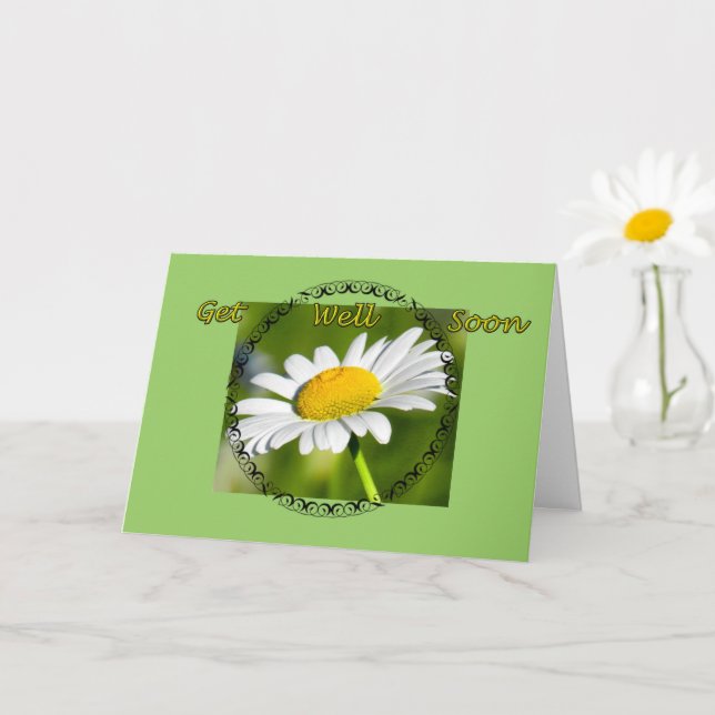 Single Daisy Get Well Card (Small Plant)