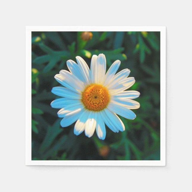 Single Daisy Napkins (Front)