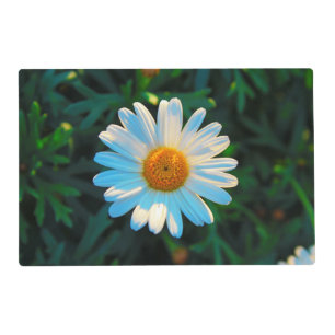 Single Daisy Placemat