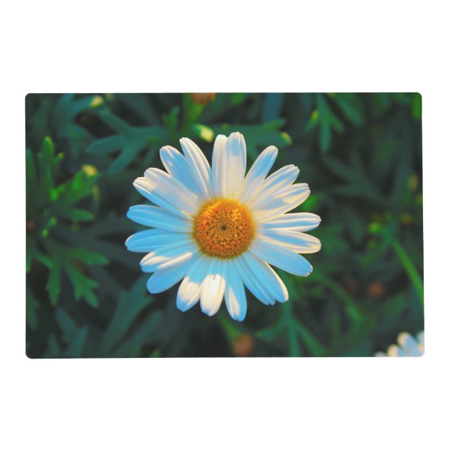 Single Daisy Placemat (Front)