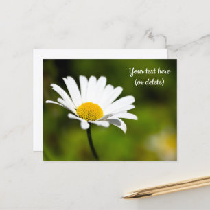 Single Daisy Postcard