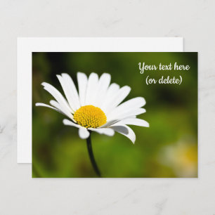 Single Daisy Postcard