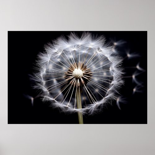 Single Dandelion in the Air with Scattered Seeds Poster