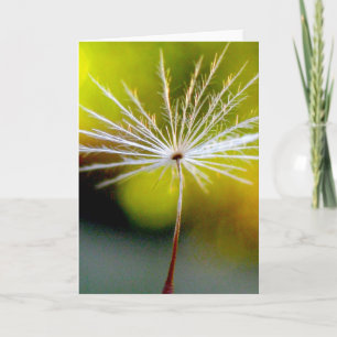 Single Dandelion Seed Poetry of Nature Card