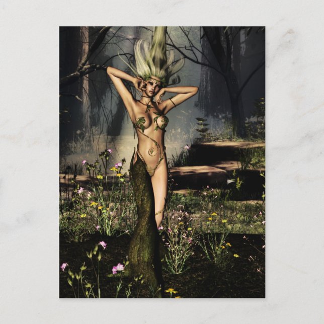 Single Dryad Postcard (Front)