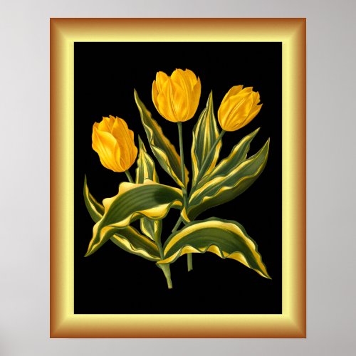 Single Early Tulip Yellow  Botanical Art Print  