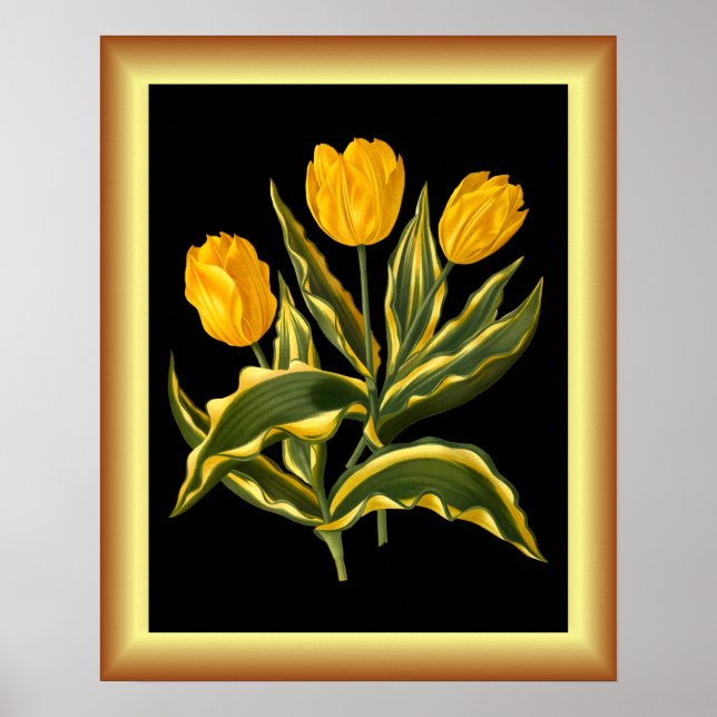 Single Early Tulip Yellow ~ Botanical Art Print ~  (Front)